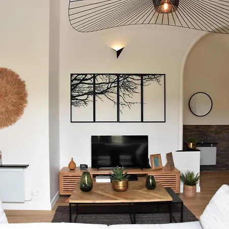 Bellecour Loft Apartment